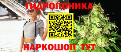 СК Можга