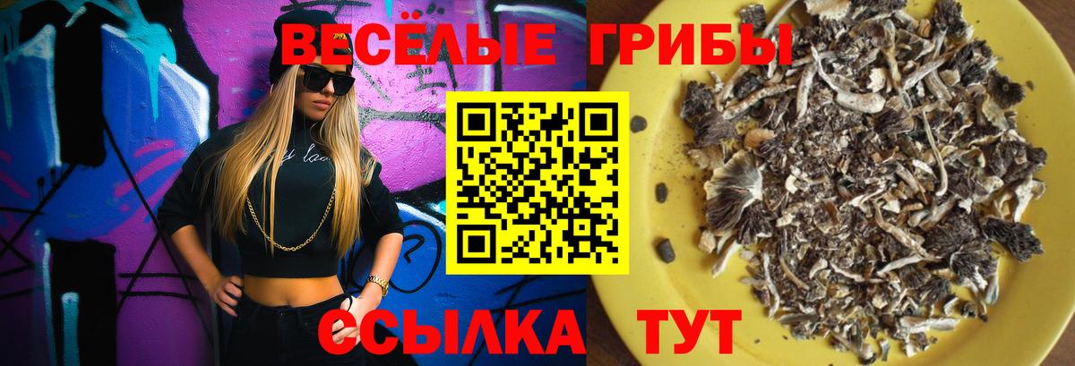 закладки  Вход с VPN  Волгоград  Галлюциногенные грибы MAGIC MUSHROOMS 