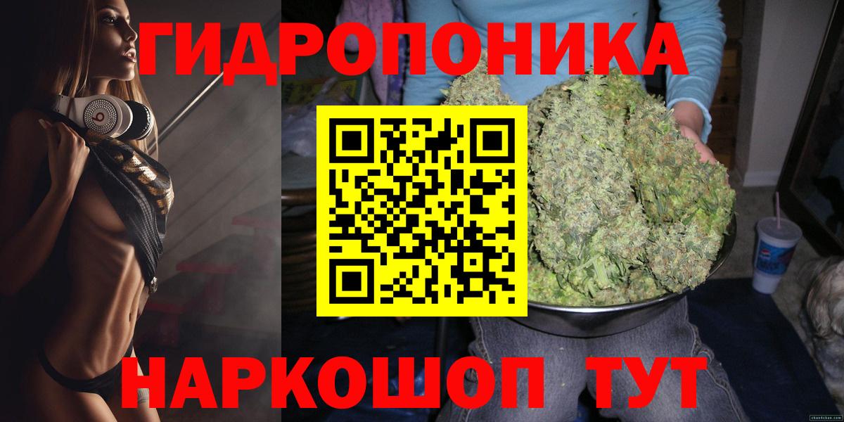 Каннабис OG Kush Волгоград
